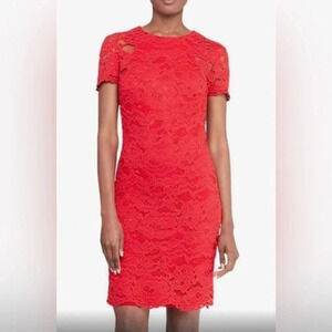 Ralph Lauren‎ Lace Sexy Versatile Classic Red Sheath Dress Lined Holiday Size: 8